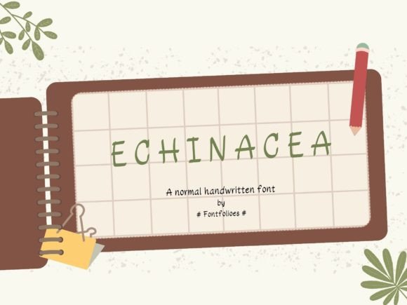 Echinacea Font Review