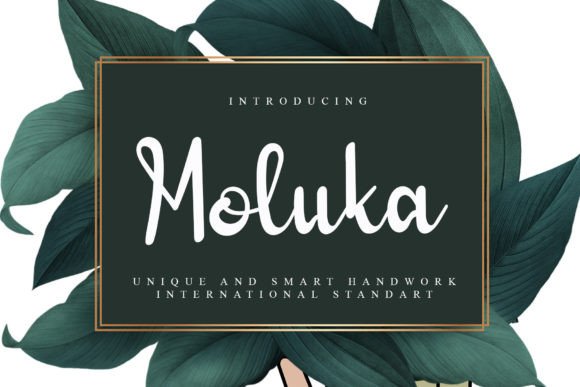 Moluka: A Fun Font for Bold Campaigns